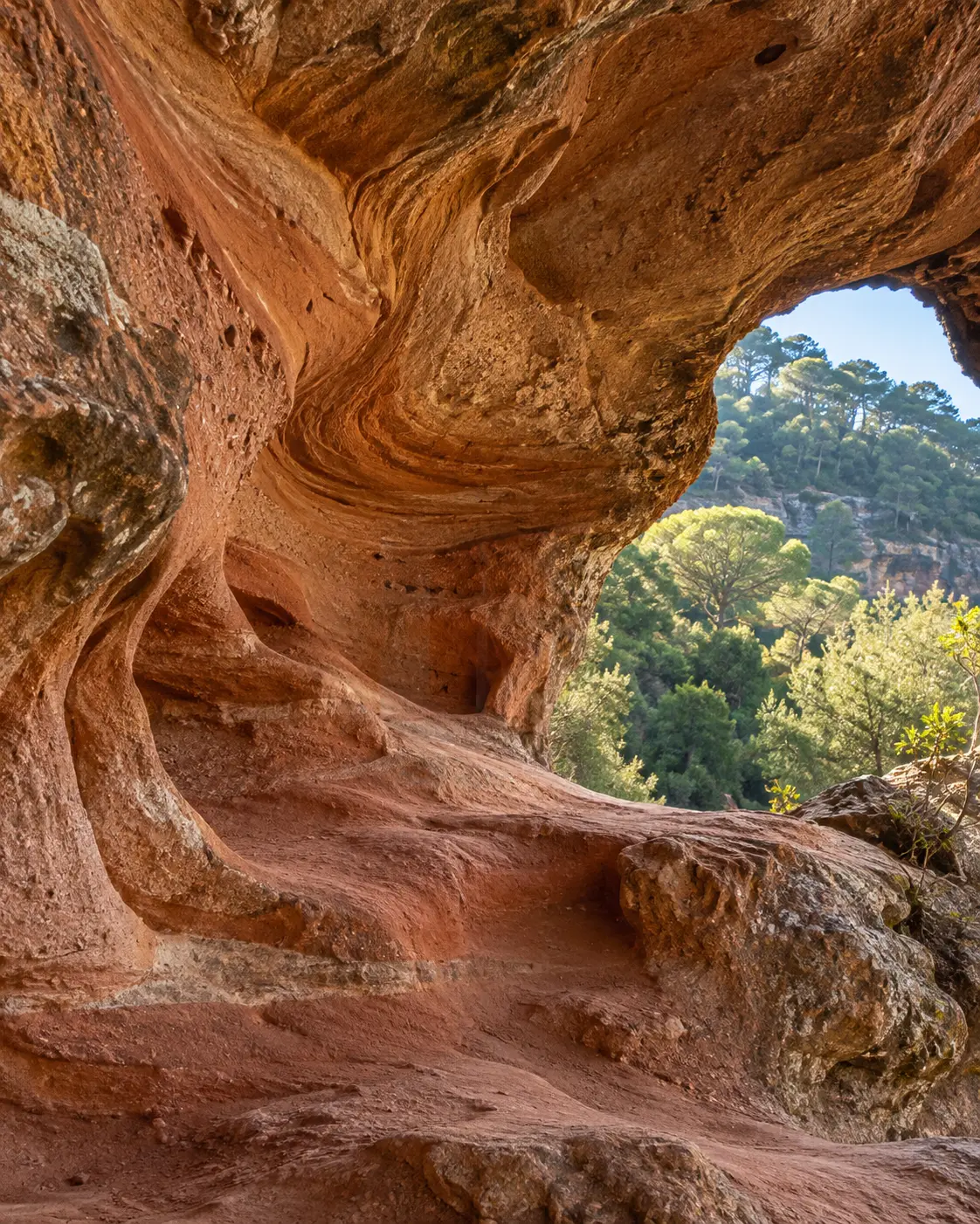 Interior d'un abric de gres vermell erosionat amb un bosc de pins al fons