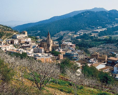 Vista del Castellnou de Cervelló al Montpedrós