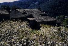 Sortida de sol a Torrelles