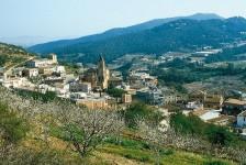 Barri de Torrelles